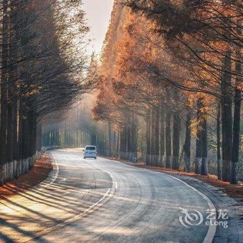 缙云浮生闲居民宿酒店提供图片