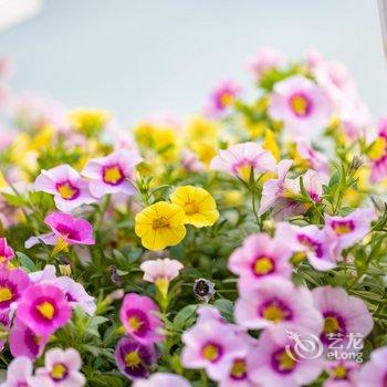 佛山美蓝美旅客栈酒店提供图片