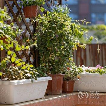 佛山美蓝美旅客栈酒店提供图片