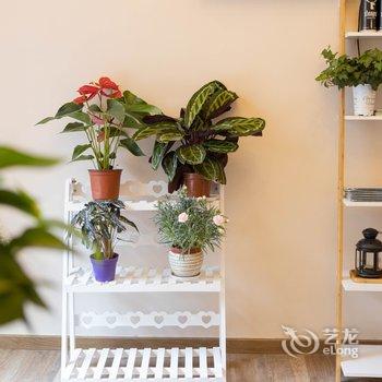 佛山美蓝美旅客栈酒店提供图片