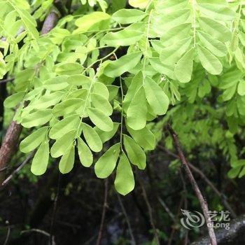 梅州兰小豆公寓酒店提供图片