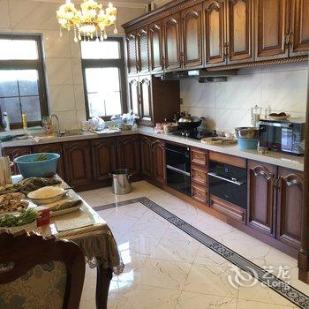 乌鲁木齐南山雄鹰度假别墅酒店提供图片