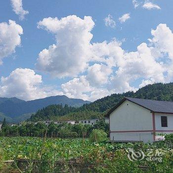 井冈山竹林三院酒店提供图片