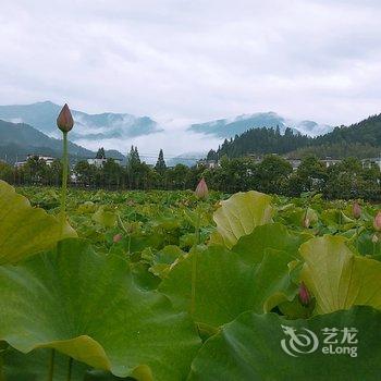 井冈山竹林三院酒店提供图片