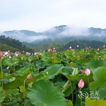 井冈山竹林三院酒店提供图片