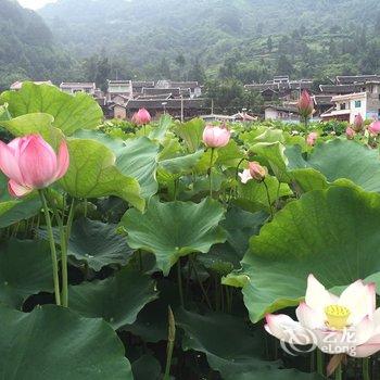 镇远听荷轩民宿酒店提供图片