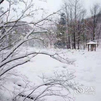 雪乡雪悦七号酒店酒店提供图片