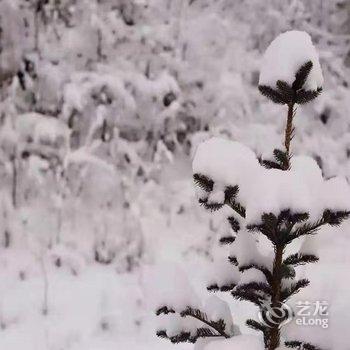 雪乡雪悦七号酒店酒店提供图片