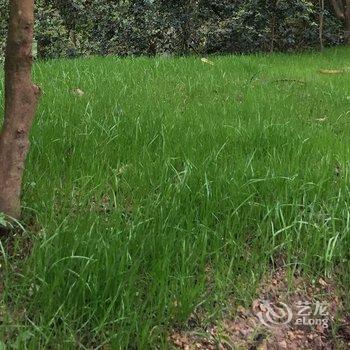 柳州黄振平客栈(环江滨水大道分店)酒店提供图片