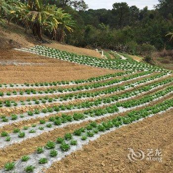 柳州黄振平客栈(环江滨水大道分店)酒店提供图片