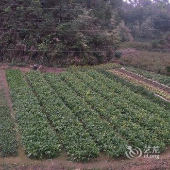 柳州黄振平客栈(环江滨水大道分店)酒店提供图片