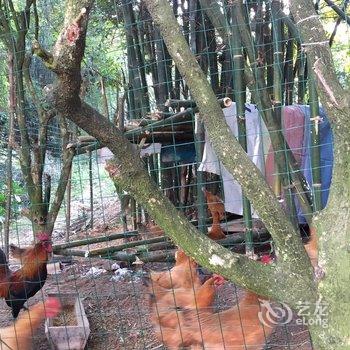 柳州黄振平客栈(环江滨水大道分店)酒店提供图片