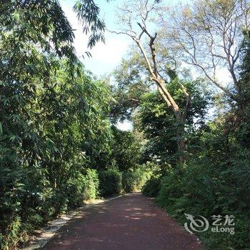 柳州黄振平客栈(环江滨水大道分店)酒店提供图片