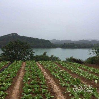柳州黄振平客栈(环江滨水大道分店)酒店提供图片