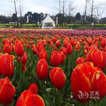 贵定吉悦便捷酒店酒店提供图片