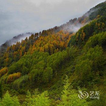 汶川沐月青岚民宿酒店提供图片