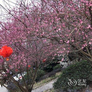 东阳北柠民宿酒店提供图片