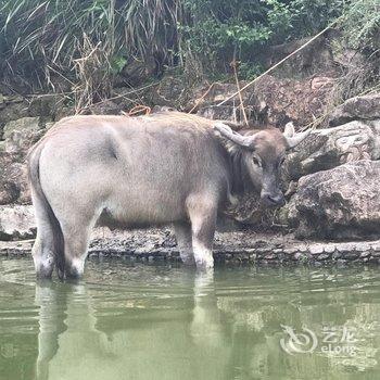 东阳北柠民宿酒店提供图片