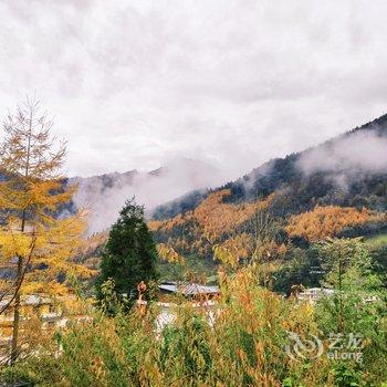 汶川沐月青岚民宿酒店提供图片