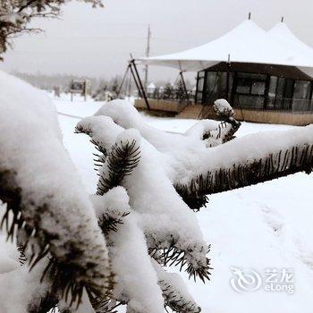 汤旺河汽车营地酒店提供图片