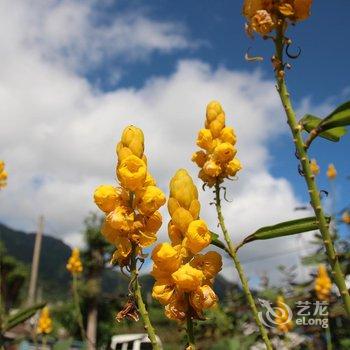 门廷若室旅店·铁花秀泰馆酒店提供图片