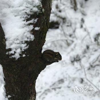 乐山初雪&峨眉山公寓酒店提供图片