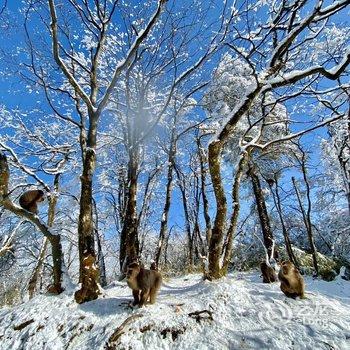 乐山初雪&峨眉山公寓酒店提供图片