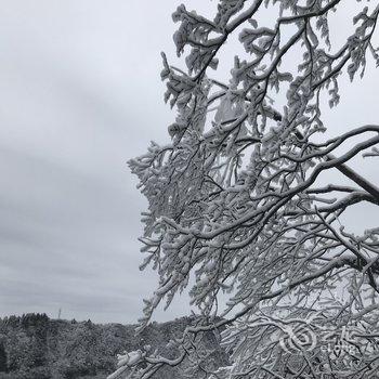 乐山初雪&峨眉山公寓酒店提供图片