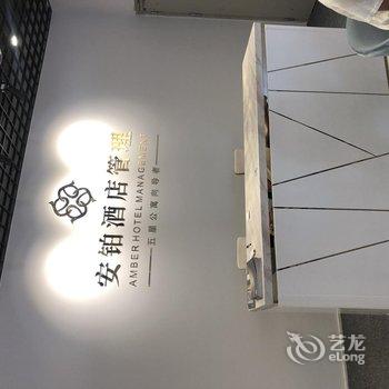 阳江安铂公寓酒店提供图片