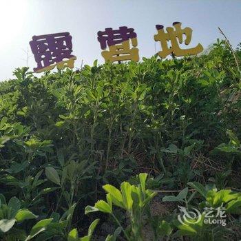 嘉峪关刘昌宗特色民宿酒店提供图片