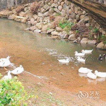 南靖宿野山居民宿酒店提供图片