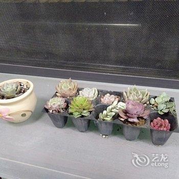 南昌县今世缘公寓酒店提供图片