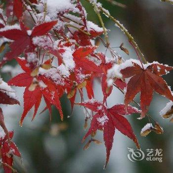 海盐南北湖草木间民宿酒店提供图片