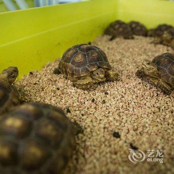 陵水乐天归心居酒店提供图片