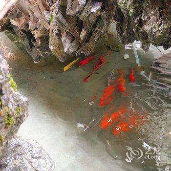 南靖宿野山居民宿酒店提供图片