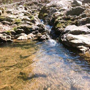 南靖宿野山居民宿酒店提供图片