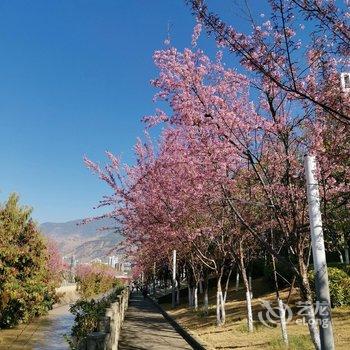 攀枝花李家杰的民宿(迎宾大道分店)酒店提供图片