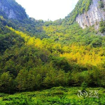 重庆武隆荣融金科大酒店酒店提供图片