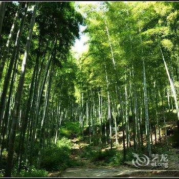 安吉喜山民宿酒店提供图片
