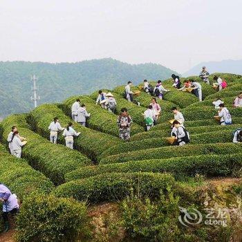 宁波半山伴水渡假村酒店提供图片