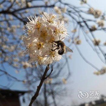 汉中潮舍酒店酒店提供图片