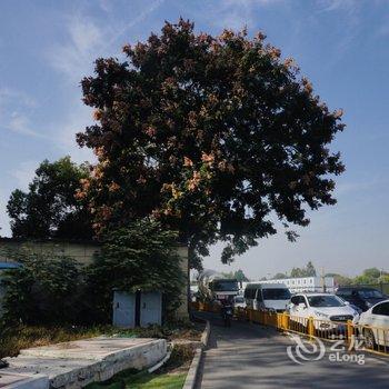 杭州西溪湿地亚朵酒店酒店提供图片