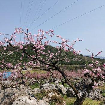 贵彬山舍民宿(张家界鼎泰路店)酒店提供图片