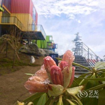 五峰独岭云顶酒店酒店提供图片