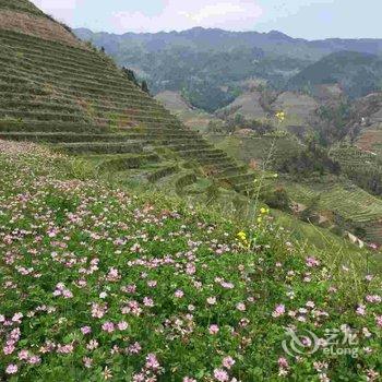 龙胜环龙阁全景客栈酒店提供图片