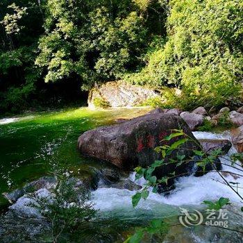 黄山隐居民宿酒店提供图片