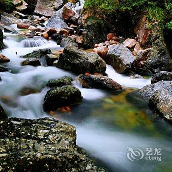 黄山隐居民宿酒店提供图片