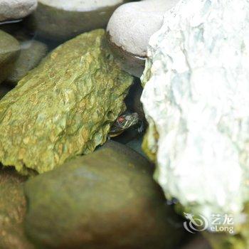 余姚丹山别院客栈酒店提供图片