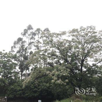 桂林花间舍时尚民宿酒店提供图片