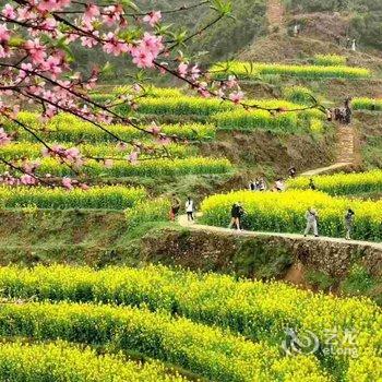 婺源篁岭锦园山居民宿酒店提供图片